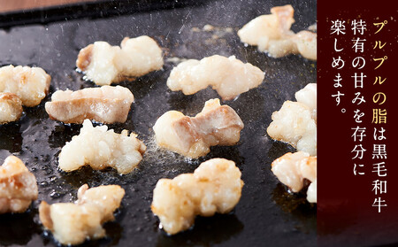 勘治郎の絶品ホルモン【とろける黒毛和牛】900g（300g×3P）