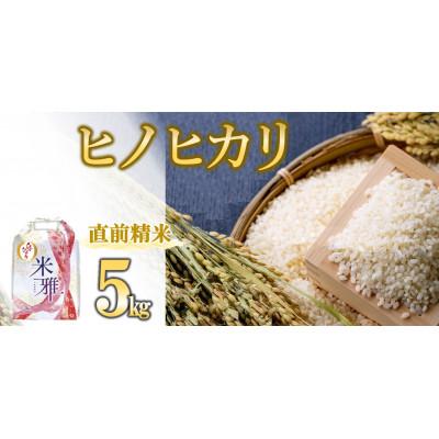 ふるさと納税 西脇市 兵庫県産・令和7年産【ヒノヒカリ】白米　5kg