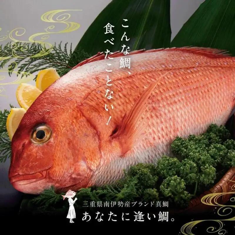 （冷蔵）真鯛 塩焼き 約1～1.2kg 真鯛