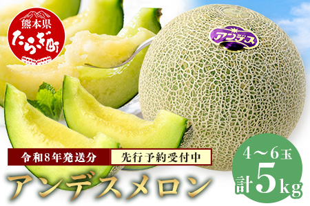 【2026年4月下旬以降発送分】 アンデスメロン 4玉～6玉（1箱5kg） 先行予約 熊本県 多良木町産 メロン 果物 フルーツ 旬 くだもの 予約受付 012-0556