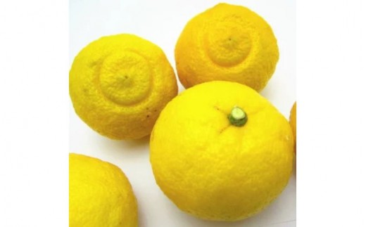 【先行予約】【人気柑橘】 有田育ちの はるか みかん（訳あり 家庭用）1kg+200g(痛み補償分)※2027年1月下旬～2月下旬頃に順次発送予定 ※着日指定不可【ard251】