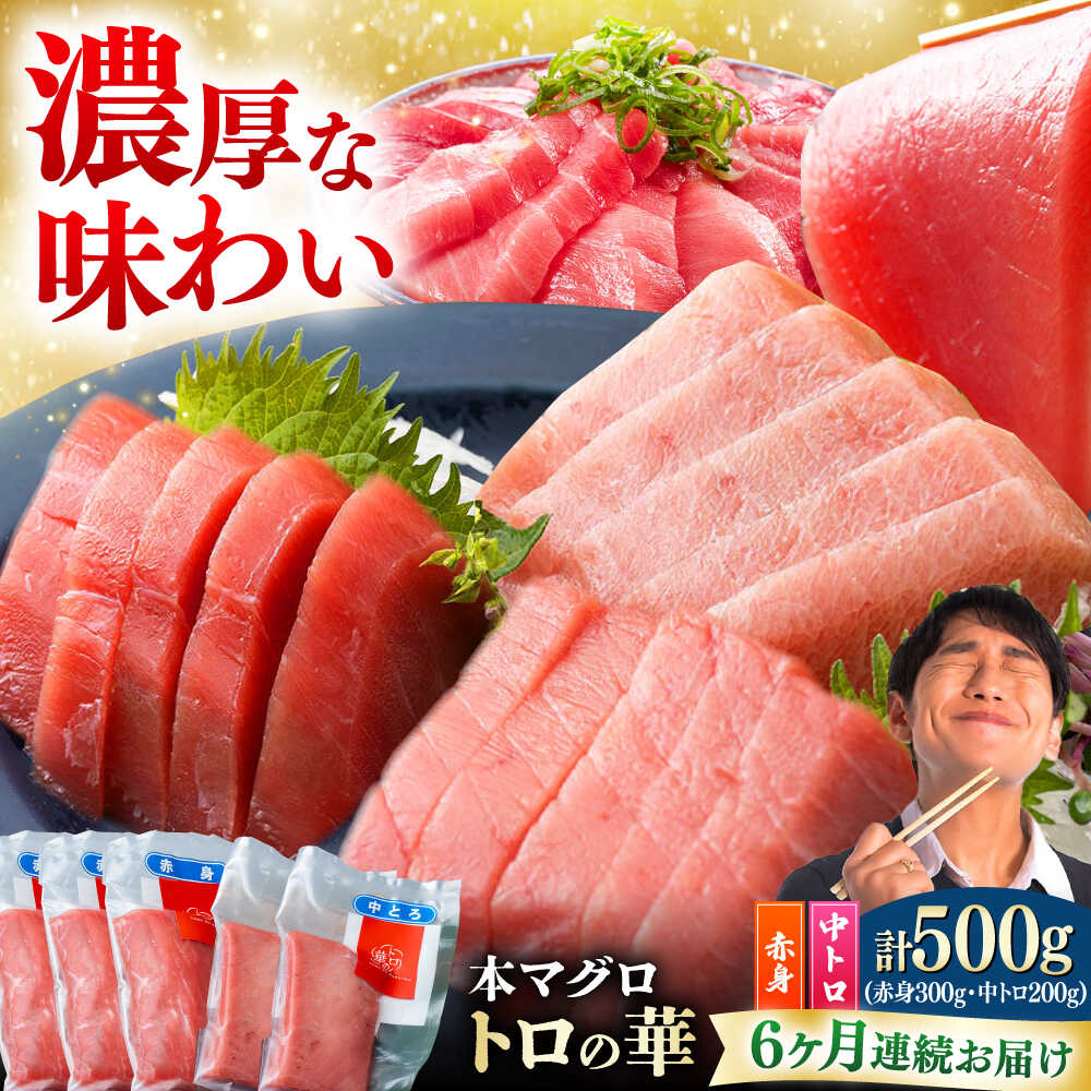 【ふるさと納税】【全6回定期便】対馬産 本マグロ 500g（赤身300g、中トロ200g） ≪対馬市≫【桐谷商店】 トロの華 対馬 新鮮 マグロ トロ 鮪 刺身 鮮度抜群[WAQ045]