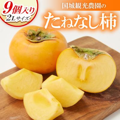 ふるさと納税 橋本市 柿　国城観光農園のたねなし柿9個入り(2Lサイズ)