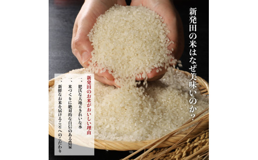 令和8年産 コシヒカリ 新潟 10kg×8か月 坂井ファーム 特別栽培米コシヒカリ 米 お米 定期便 10kg 5kg×2袋 80kg 8か月 新潟 新発田 コシヒカリ seidaSK008