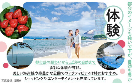 HISふるさと納税クーポン（福岡市）150,000円分