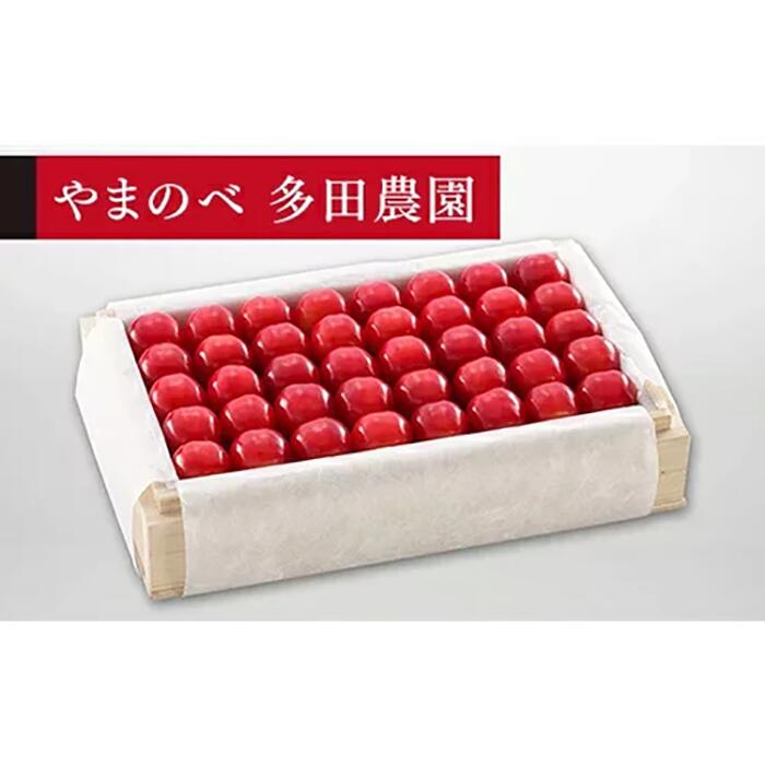 【ふるさと納税】《2026年先行予約》【特選佐藤錦】桐箱詰 約700g【やまのべ多田耕太郎のさくらんぼ 多田農園】期間限定 数量限定 山形県産 サクランボ フルーツ 果物 くだもの 贈答 F4A-0018