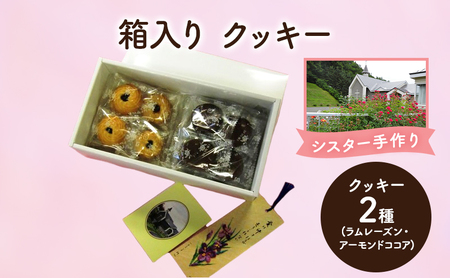 クッキー 2種セット ラムレーズン・アーモンドココア クッキー