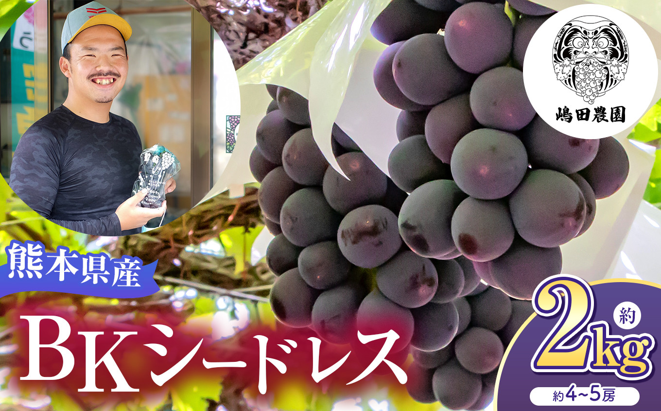 
                  【 先行予約 】  BKシードレス 約2kg 熊本県和水町産 | 熊本県 熊本 和水町 くまもと なごみまち なごみ ぶどう ブドウ 葡萄 巨峰 種あり 果物 季節限定 フルーツ 季節の果物 朝摘み 直送
                