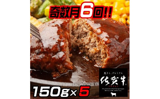 
【奇数月定期便（年6回）】佐賀牛入りハンバーグ 5個：B580-004
