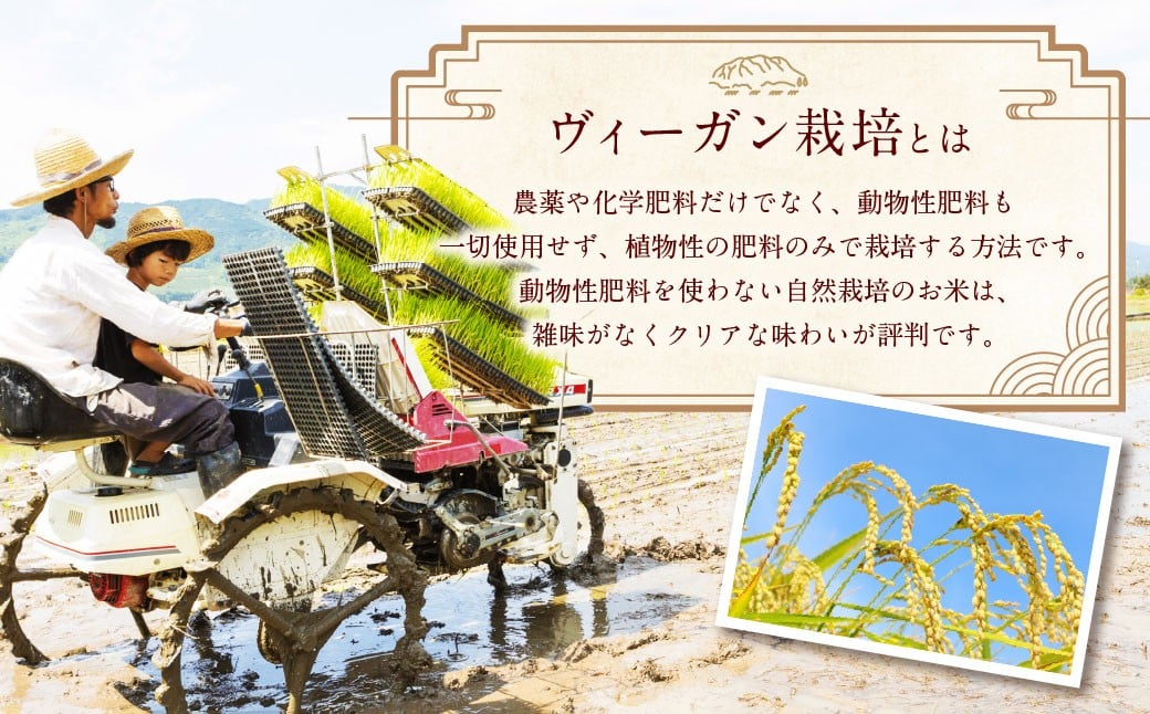 自然栽培 ひのひかり 玄米 5kg