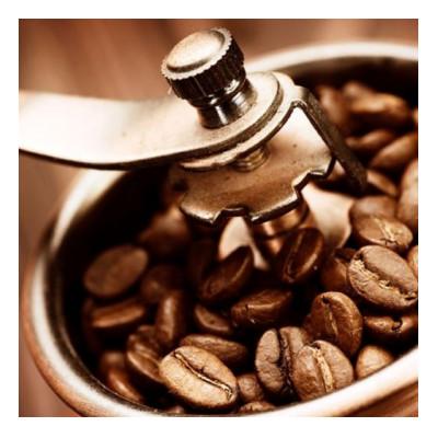 ふるさと納税 太宰府市 50℃洗いコーヒー【こだわり珈琲6種セット 豆】100g×6種 |  | 03