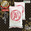 【ふるさと納税】【令和5年産】田村産 コシヒカリ10kg(5kg×2袋) お米 福島県 田村市 田村 贈答 美味しい 米 kome コメご飯 特Aランク 一等米 単一米 精米 国産 おすすめ 送料無料 ふぁせるたむら