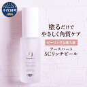 【ふるさと納税】アースハート SC リッチピール 30ml ピーリング 導入液 美容液 角質ケア スキンケア 毛穴ケア 水不使用 低刺激 日用品 群馬県 千代田町