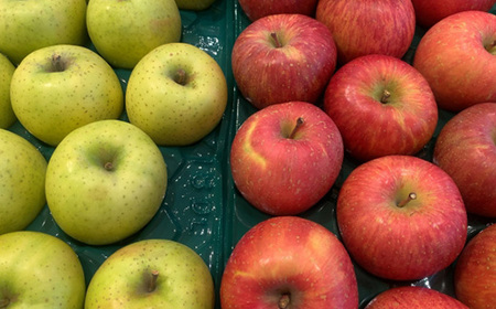 【2025年発送】家庭用　長野県北信州のりんご　約10kg(20～30玉)おまかせ2品種【1575400】