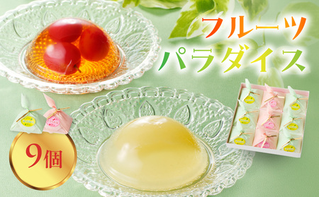 御菓子処蝶谷　フルーツパラダイス　9ヶ入・化粧箱 007-008