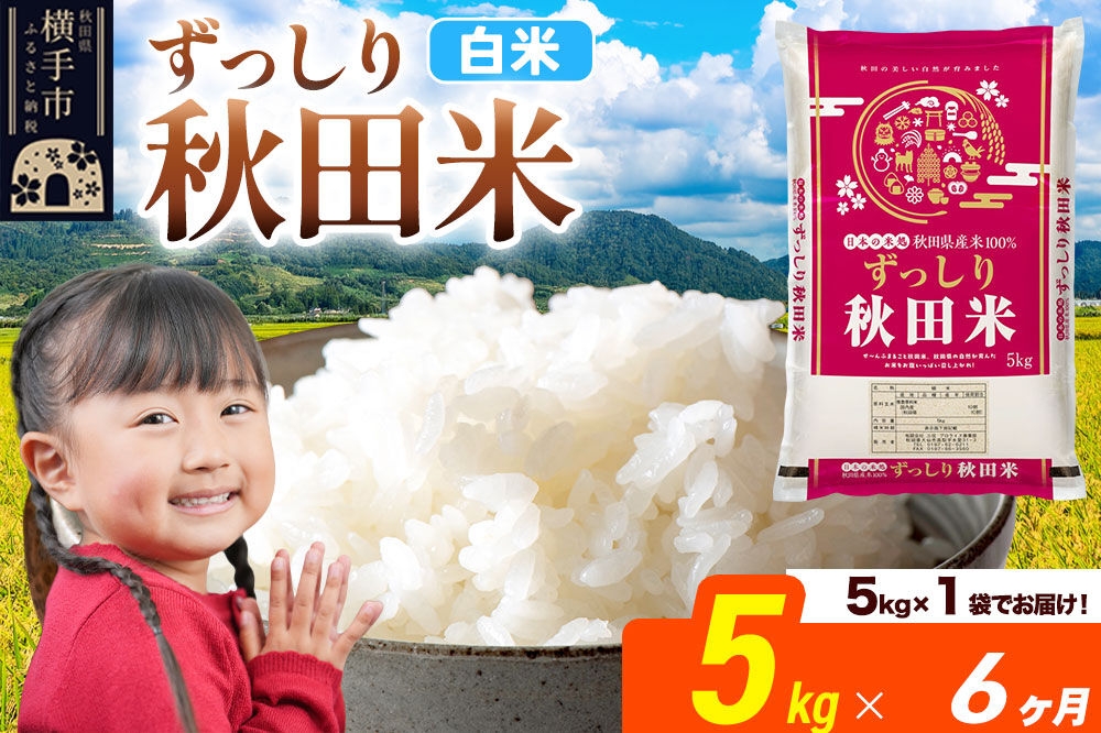 
                  米《定期便6ヶ月》秋田県 横手市産 ブレンド米 令和7年産【白米】5kg（5kg×1袋） [米 お米 こめ 白米 精米 ブレンド米 小分け ご飯 ごはん 秋田県産 横手市]
                
