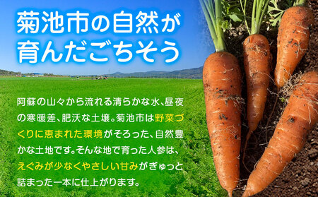 【先行予約】人参 約10kg (35-65本) 日本フルーツ株式会社《4月上旬-7月上旬頃出荷》熊本県 菊池市 にんじん ニンジン 野菜 熊本県産