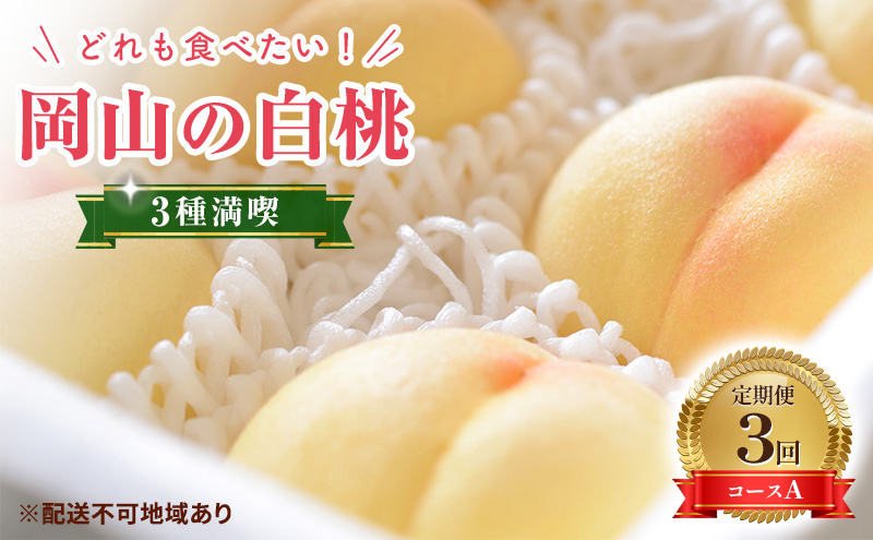 【2025年先行予約】 桃 岡山県産 どれも食べたい！岡山の桃 3種 満喫 プラン 3回 コースA ( 日川白鳳 ・ 白鳳 ・ 瀬戸内白桃 各1.5kg)《2025年6月上旬-8月下旬頃出荷》白桃 数量限定 期間限定 定期便