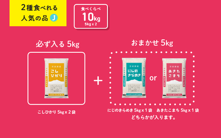 お米 食べ比べセット10kg 5kgx2袋 令和6年産 新米 10月発送 先行予約 こしひかり あきたこまち 食べ比べ 白米 精米 茨城県 八千代町 [SF011ya]