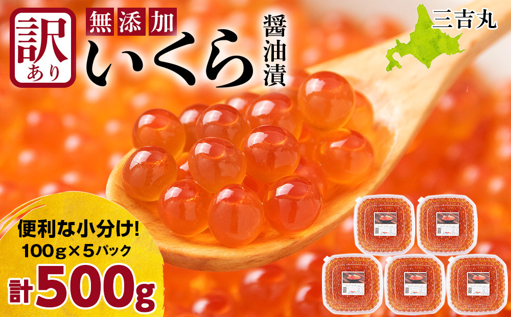
            【訳あり】自家製！イクラの醤油漬け 100g×5個 合計500g
          