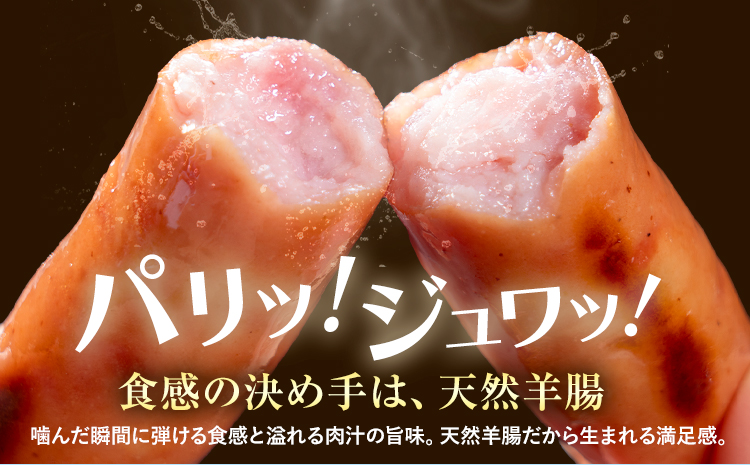 ウインナー 粗挽き ポーク ウインナー 500g ソーセージ 《2026年2月中旬-3月末頃出荷予定》九州産 豚肉 熊本県 大津町 惣菜 ウインナー ソーセージ 豚肉 豚 うまかポーク 弁当 おかず-