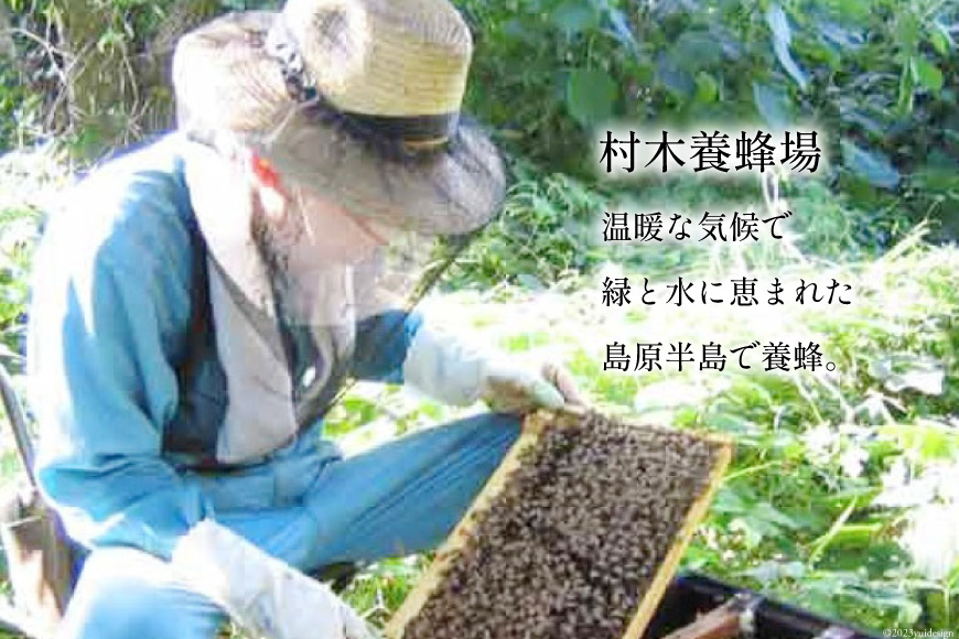 BH073 国産はちみつ 1.2kg（百花蜜）[ 国産 甘い はちみつ 蜂蜜 村木養蜂場 長崎県 島原市 ]_イメージ5