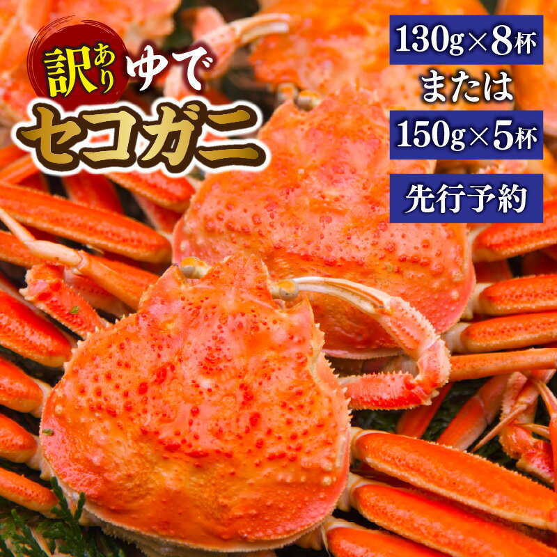 【ふるさと納税】【先行予約】【訳あり】セコガニ 茹で ボイル【選べる大きさと内容量！】約130g×8匹 ・約150g×5匹 冷蔵 カニ 蟹 かに せいこがに せこ蟹 ボイル 松葉がに ギフト コッペガニ 香箱ガニ せこがに 勢子ガニ 姿 香美町 香住 柴山 11月中旬以降 送料無料