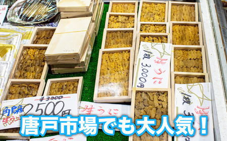 生うに 特上品 1枚 約50g 紫うに 赤うに 冷蔵 下関 唐戸市場 直送 ( うに ムラサキウニ アカウニ 生うに 雲丹 角島産うに 下関生うに 板うに ウニ 雲丹 うに 紫ウニ ウニ丼 魚介 海産