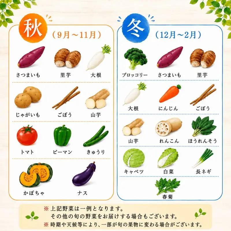 野菜セット 詰め合わせ おまかせ 10～15品目 野菜セット