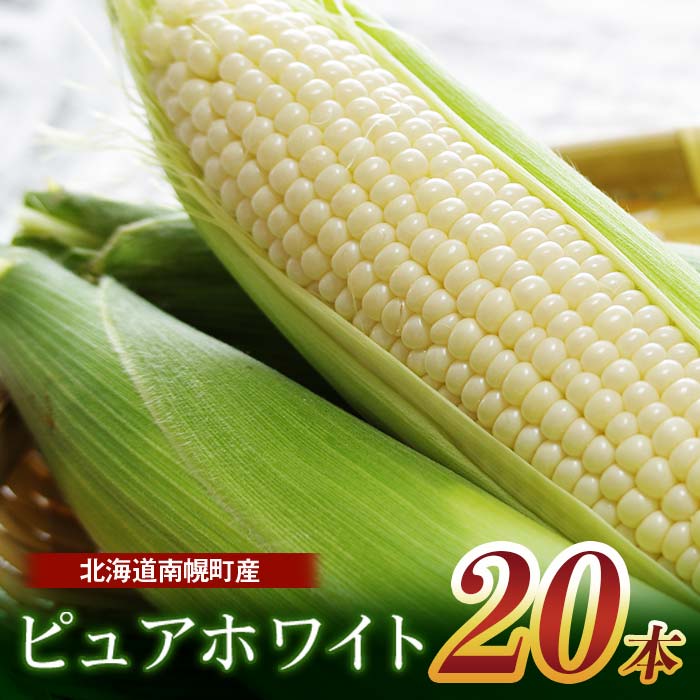 【ふるさと納税】令和8年発送 北海道産 とうもろこし ピュアホワイト20本 朝採れ 一番果 産地直送 数量限定 南幌町 NP1-172