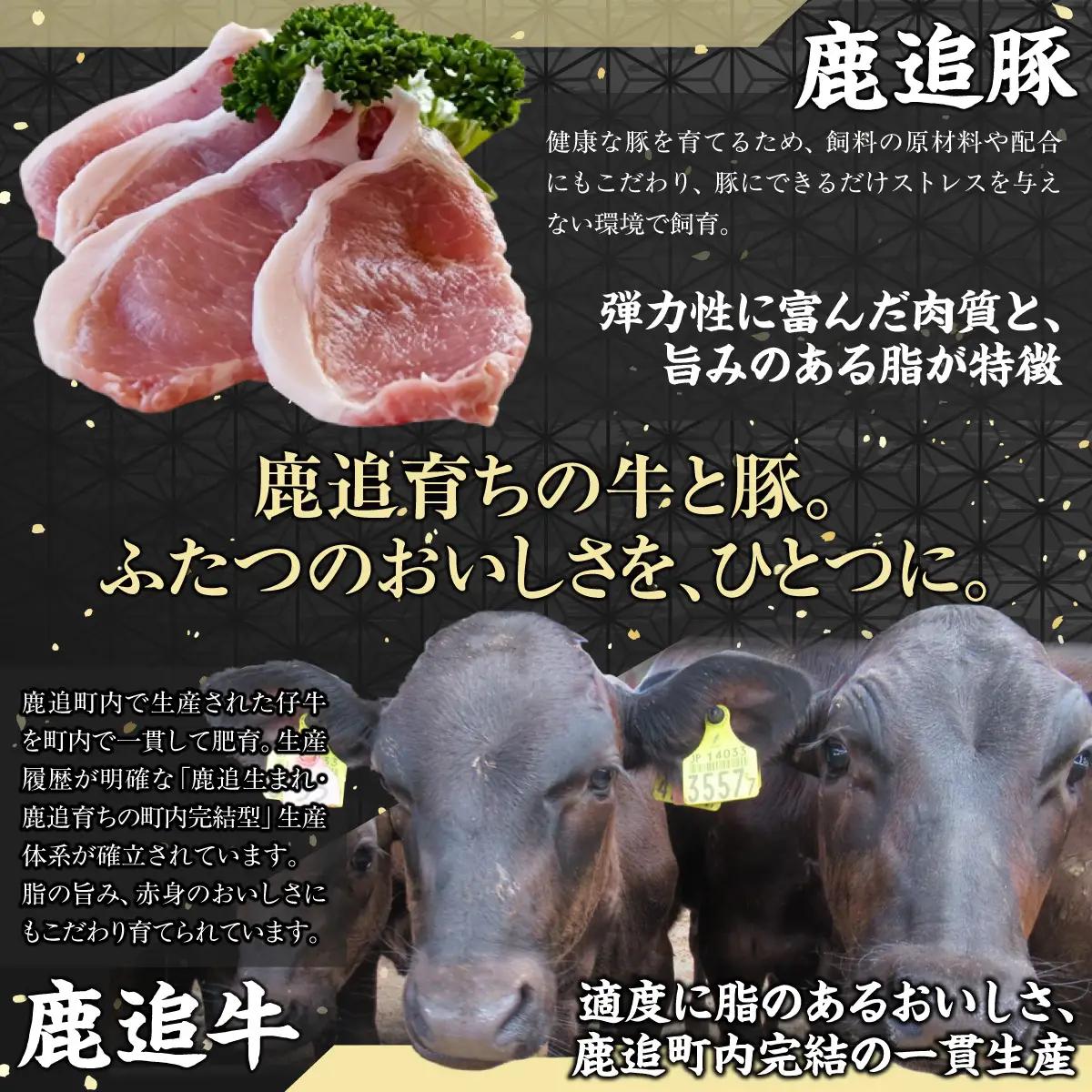 【隔月6回】鹿追産牛豚合挽きハンバーグ　140g ×10個 SKA069-3