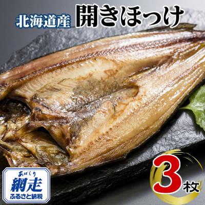 ふるさと納税 網走市 【2025年11月上旬発送】ほっけ一夜干し(冷凍・1枚真空パック)　3枚セット | 