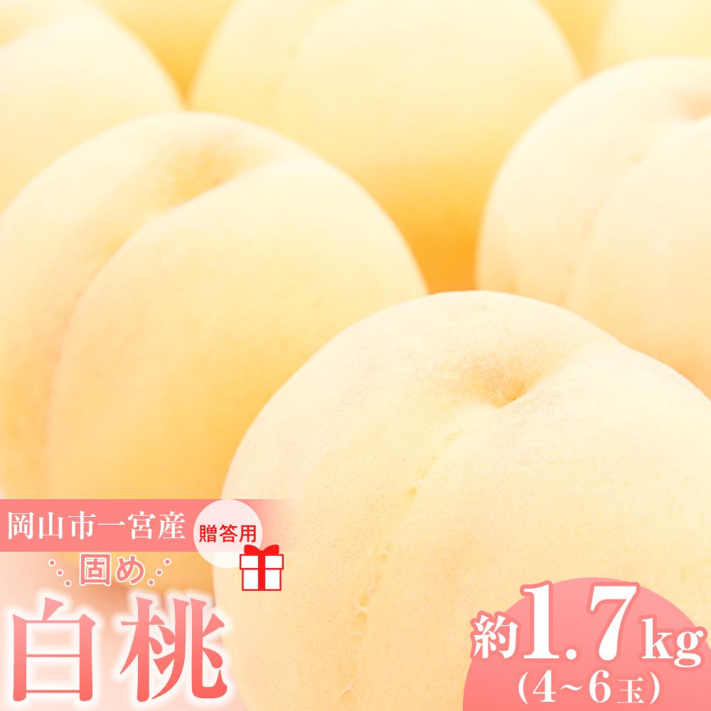 【ふるさと納税】固めの 桃 2026年 贈答用 岡山市一宮産 白桃（晩生種）約1.7kg 4～6玉 もも モモ フルーツ 果物 ギフト 犬塚農園 | もも フルーツ 果物 くだもの 食品 人気 おすすめ 送料無料