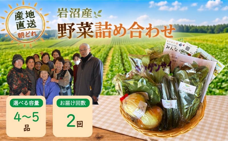 【定期便2ヶ月】宮城県 岩沼産 産地直送 朝どれ 新鮮野菜 4～5種類 詰め合わせセット