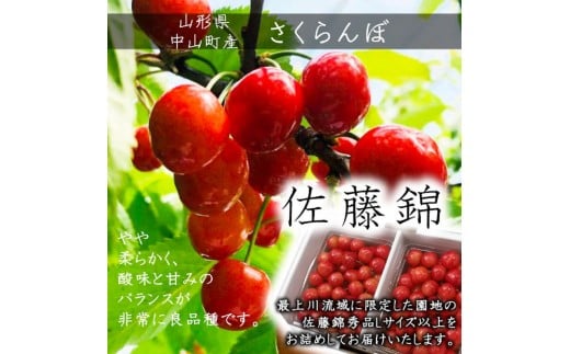 令和8年産【先行受付】山形県産さくらんぼ＜佐藤錦 秀品＞400g(200g×2P)　