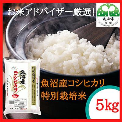 ふるさと納税 魚沼市 【毎月定期便】お米アドバイザー厳選!魚沼産コシヒカリ特別栽培米 精米計5kg全3回