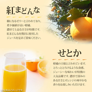 マルワフルーツ園芸　紅まどんなとせとかジュース２本セット