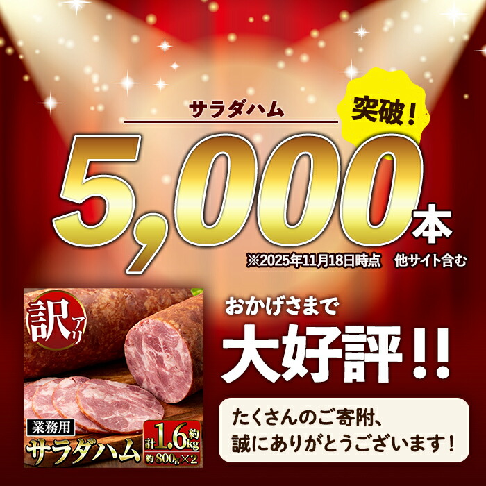 i1204-A ＜定期便・計3回(連続月)＞《業務用・訳あり》サラダハム  (約800g×2本×3回・計4.8kg ) ハム 国産 豚肉 塩漬 熟成 プレスハム 肉加工品 訳アリ 業務用 サラダ トッ