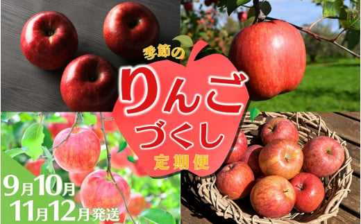 【令和7年度予約受付】大文字りんご園 季節のりんごづくし定期便！/ 樹上完熟 りんご リンゴ 林檎 紅いわて サン北斗 大夢 サンフジ 果物 くだもの フルーツ 甘い 旬 産地直送 予約 先行予約