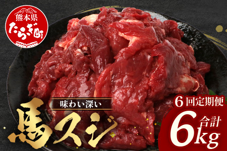 【 定期便 6回 】 熊本県 馬スジ 1㎏（ 500g×2 ） × 6回 【 合計 6kg 】 【 馬肉 すじ肉 大容量 本場 熊本県 馬 赤身 煮込み カレー シチュー 冷凍 真空 熊本 肥育 ヘルシー 赤身 肉 高栄養 肉 】 041-0159