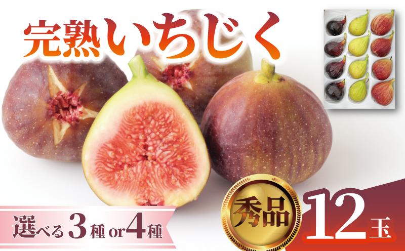 
                  先行予約 いちじく 無花果 12玉 秀品 選べる 3種 4種 日本いちじく イチジク 黒いちじく 数量限定 旬 果物 くだもの 人気 フルーツ 秋 ジャム お取り寄せ 農家直送 冷蔵 新潟県 新発田市 ほんのり農園 honnori001P
                