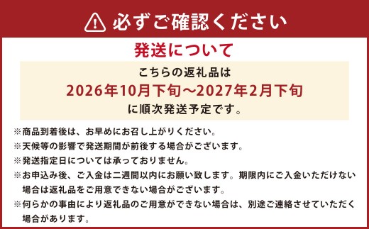 みかん 10kg(サイズ2L～2S) 蜜柑
