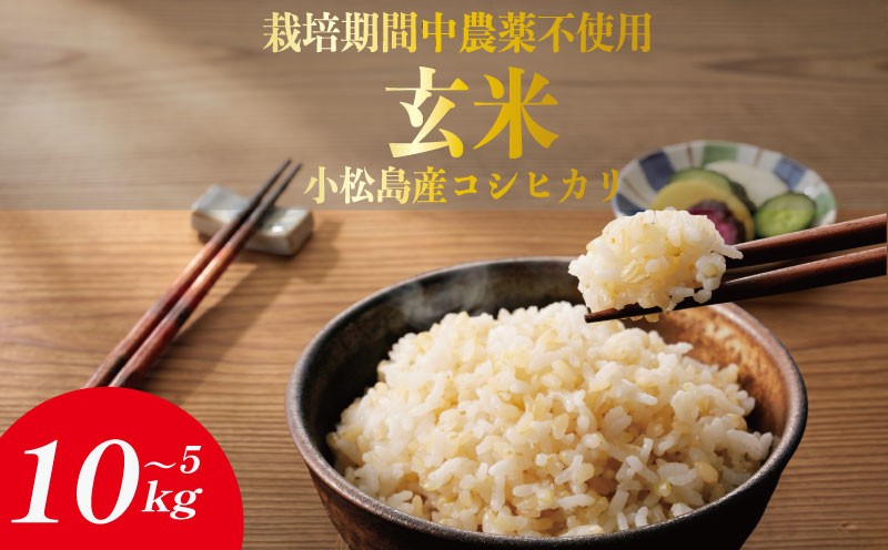 
                  【栽培期間中農薬不使用】玄米 5kg~10kg コシヒカリ 令和7年産 米 こめ ご飯 ごはん おにぎり 卵かけご飯 白米  食品 備蓄 備蓄米 保存 防災 ギフト 贈答 プレゼント お取り寄せ グルメ 送料無料 徳島県
                