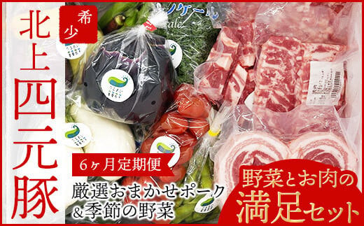 6ヶ月 定期便 四元豚 厳選カット肉と季節のうるおい野菜セット【 GIFTON 】 お歳暮 お中元 ギフト プレゼント 母の日 父の日 誕生日 お祝い 卒業祝い 入学祝い バーベキュー BBQ 焼肉 ファミリー パーティー 子供会 肉 カット肉 肉 セット 旬の野菜 季節の野菜 豚肉 ぶた肉 ロース バラ 肩ロース モモ肉 ひき肉 バラ肉 スライス  岩手県 北上市 ごえん O0038