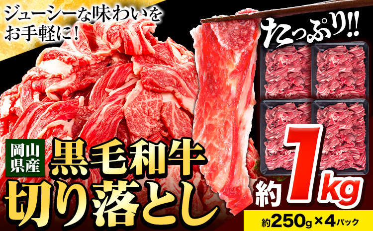 牛肉 肉 黒毛和牛 切り落とし 訳あり 大容量 小分け 1kg 1パック 250g 《60日以内に出荷予定(土日祝除く)》岡山県産 岡山県 笠岡市 お肉 にく カレー 牛丼 切り落し 切落し 黒毛和牛 牛肉 黒毛和牛 牛肉 黒毛和牛 牛肉 黒毛和牛 牛肉 黒毛和牛 牛肉 黒毛和牛 牛肉 黒毛和牛---223_f651_60d_23_10000_1kg---