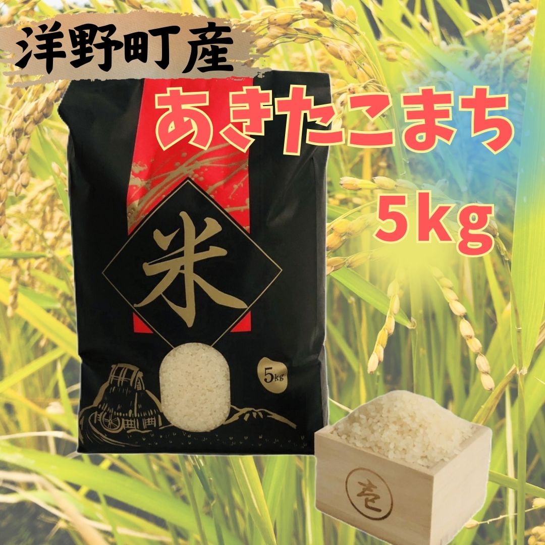 【ふるさと納税】【令和7年産】洋野町産あきたこまち5kg