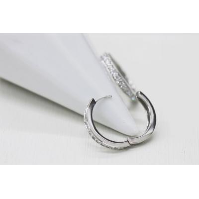 ふるさと納税 甲府市 PT900 ダイヤフープピアス 中折れ式 0.4ct 1115015PT |  | 01