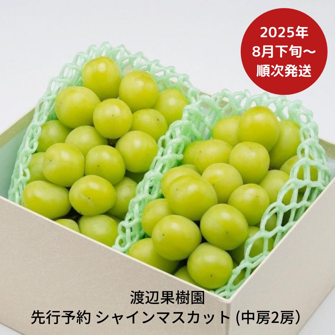 【ふるさと納税】先行予約 中房シャインマスカット2房 (約1kg) [8月下旬から発送予定] 令和7年度 贈答用 シャインマスカット 新潟県 三条市産 ぶどう [渡辺果樹園] 【018S031】