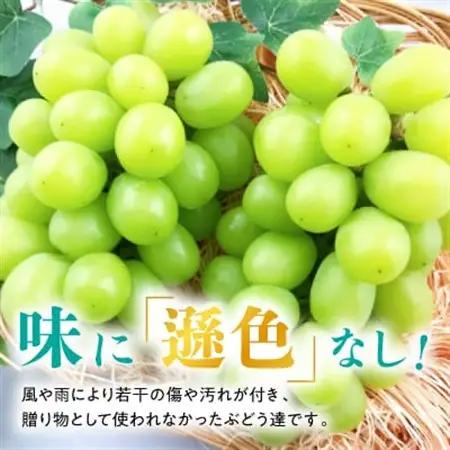 【2026年発送】訳あり!シャインマスカット晴王☆約2kg!8月中旬～順次発送【人気の岡山産ぶどう】【配送不可地域：離島】【1378275】
