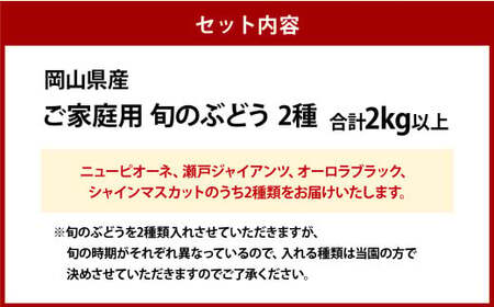 ご家庭用 旬のぶどう 2種（合計2kg以上）【2026年8月下旬～10月下旬 発送予定】【産地直送 岡山県産 国産 シャインマスカット ニューピオーネ ブドウ 葡萄 ぶどう 果物 ギフト たけまさぶど